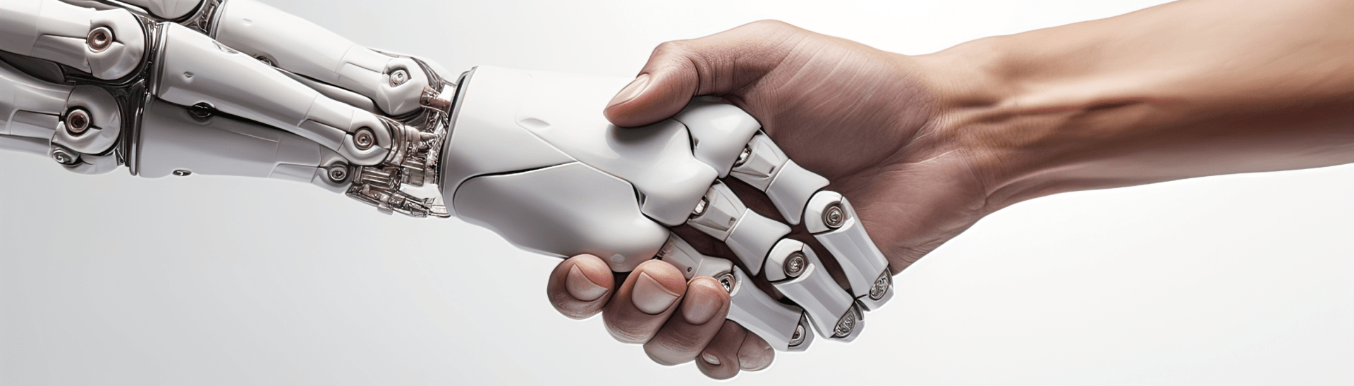 Robot–Human Relationship